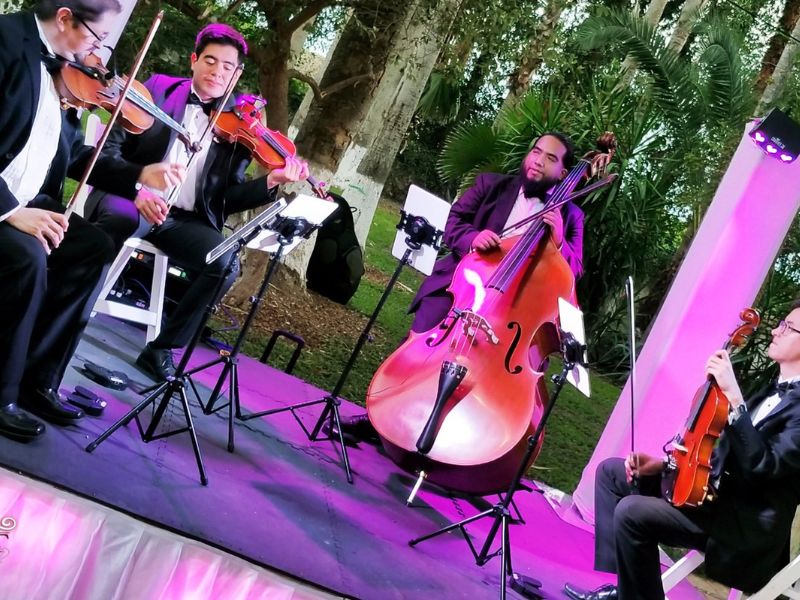 Service Viol Consort