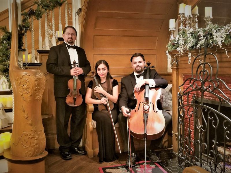 Service Violinist Sarah Pop